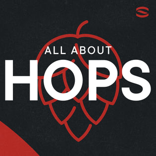 What are Hops and Why are They Important in Beer Brewing