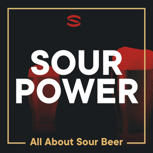 How to Make Sour Beer