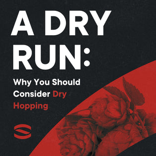 why you should consider Dry hopping
