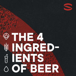 Primary ingredients for brewing beer
