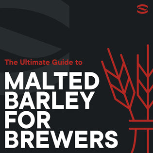 Malted Barley for Brewers