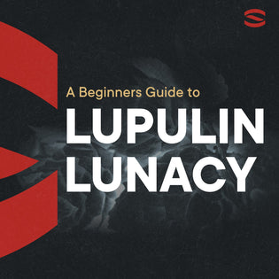 Hops: A Beginner's Guide to Lupulin Lunacy